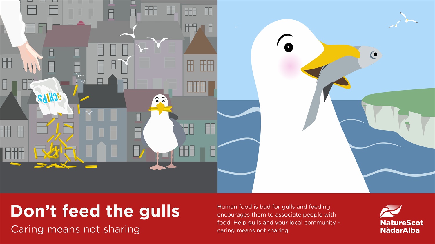 don-t-feed-the-gulls-1080-x-1920-landscape-a5723992